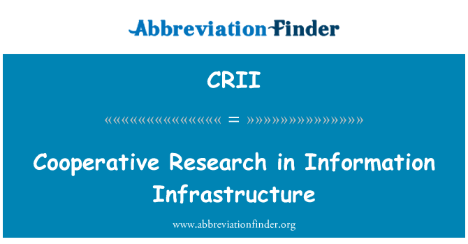 CRII: Съвместни изследвания в информационна инфраструктура