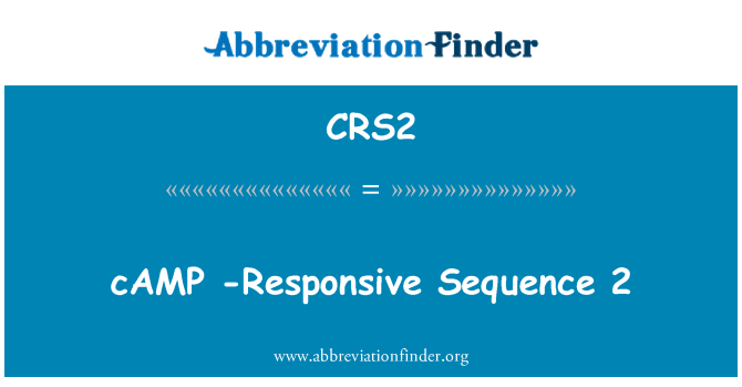 CRS2: Perkhemahan - responsif jujukan 2