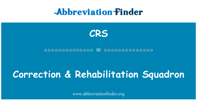 CRS: Correction & Rehabilitation Squadron