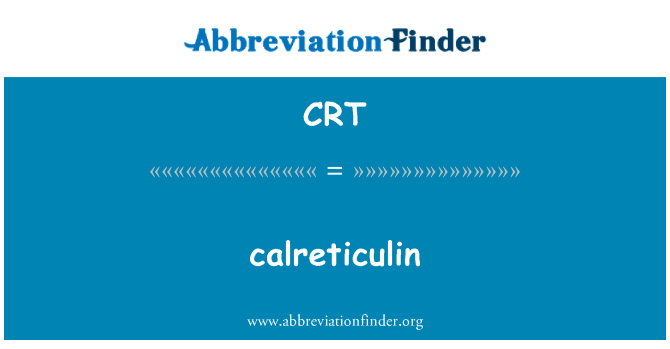 CRT: calreticulin