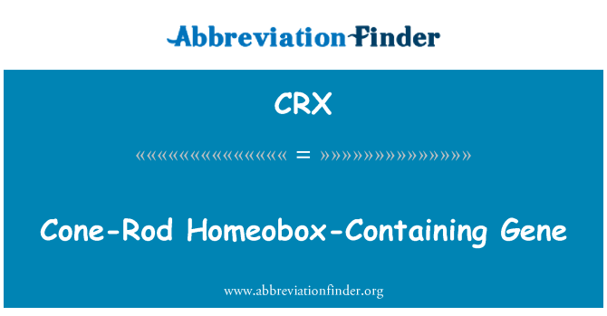 CRX: Kon-Rod Homeobox-mengandungi gen