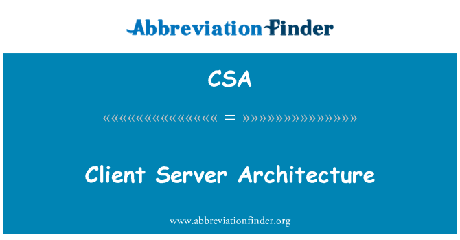 CSA: 客户端服务器体系结构