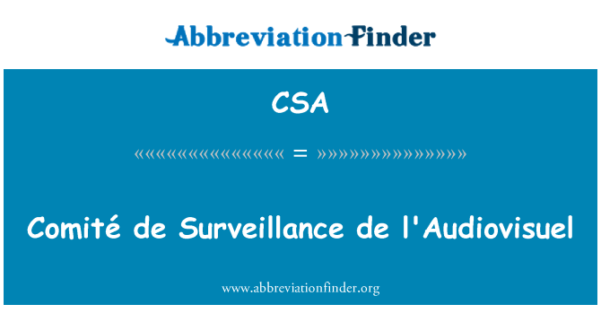 CSA: Comité デ監視 audiovisuel