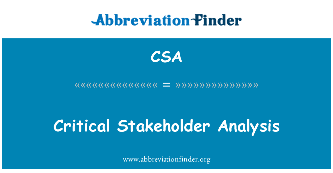 CSA: Kritischen Stakeholder-Analyse