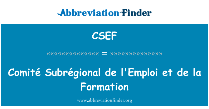 CSEF: Comité Subrégional de l'Emploi et de la formação