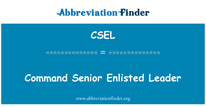 CSEL: Uwch Gorchymyn gofynnodd arweinydd