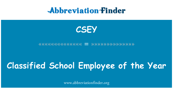 CSEY: Angajat clasificate scoala anului