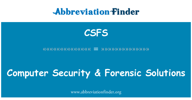 CSFS: Компютърна сигурност & съдебни решения