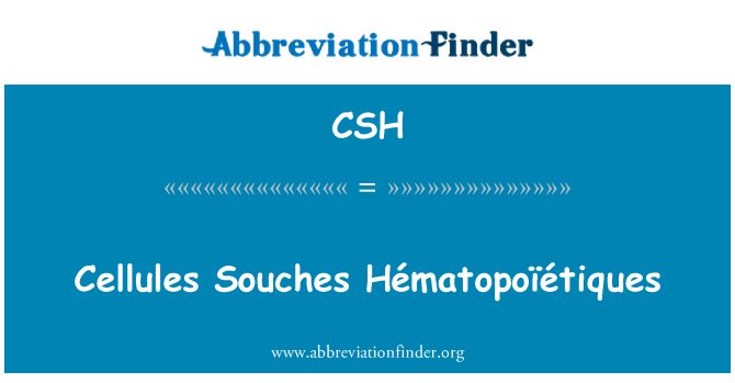 CSH: 腺泡 Souches Hématopoïétiques