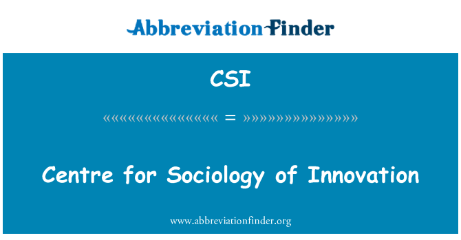 CSI: מרכז סוציולוגיה של חדשנות