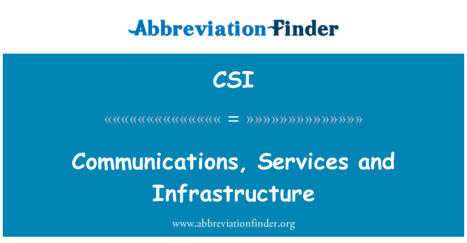 CSI: بنیادی ڈھانچہ، مواصلات اور خدمات