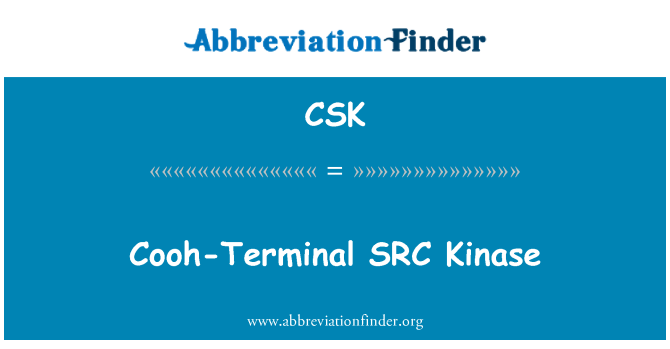 CSK: COOH-Terminal SRC kinázy