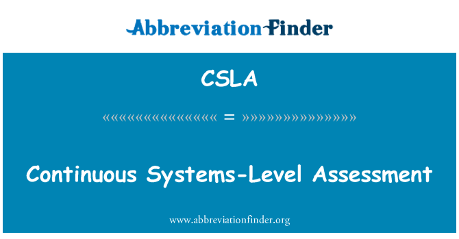 CSLA: 연속 시스템 수준 평가