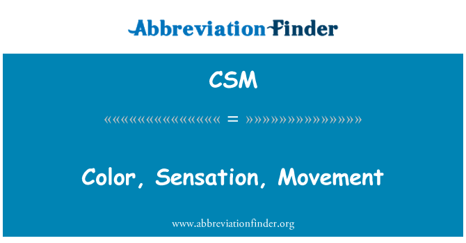 CSM: 色、感覚、動き