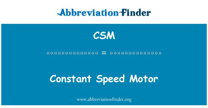 CSM: 일정 속도 모터