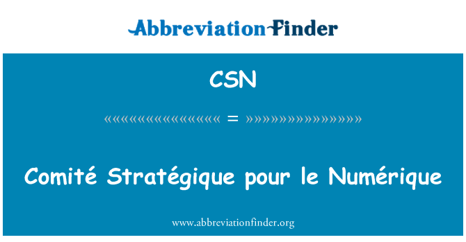 CSN: Comité Stratégique pour le Numérique