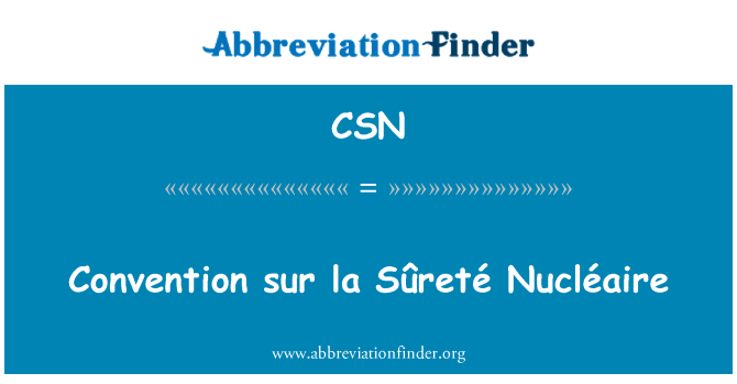 CSN: 컨벤션 쉬르 라 Sûreté Nucléaire