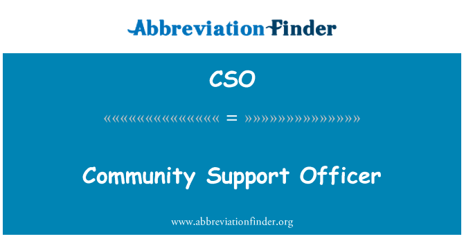 CSO: 社区支助干事