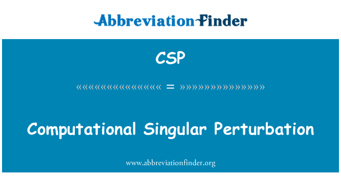 CSP: Pertorbació Singular computacional