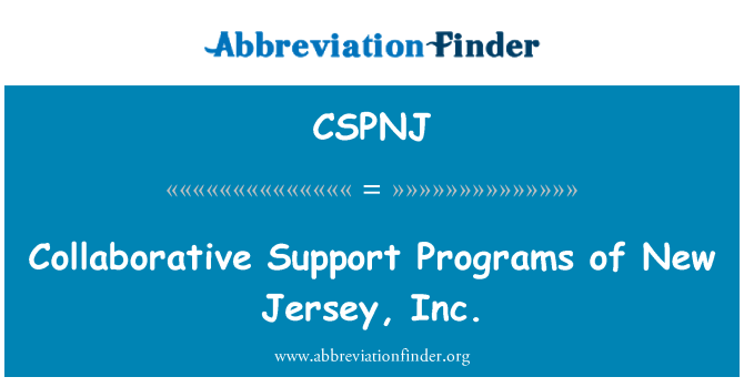 CSPNJ: 新澤西，Inc.的協作支援程式