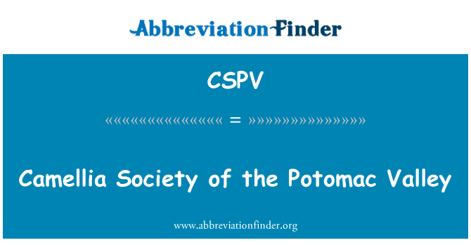 CSPV: Camellia společnost údolí Potomaku