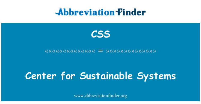 CSS: המרכז למערכות בר קיימא