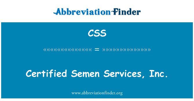 CSS: Semen ċertifikata servizzi, Inc.