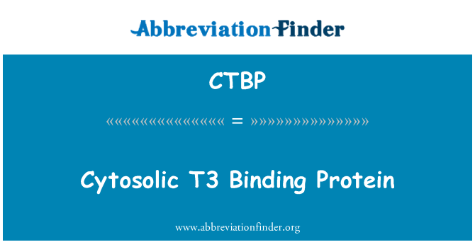 CTBP: 游离 T3 结合蛋白