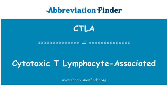 CTLA: Cytotoxických T lymfocytů související