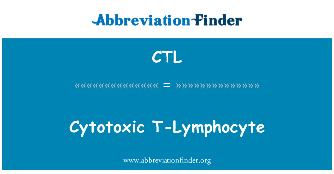 CTL: Cytotoxiska T-lymfocyter