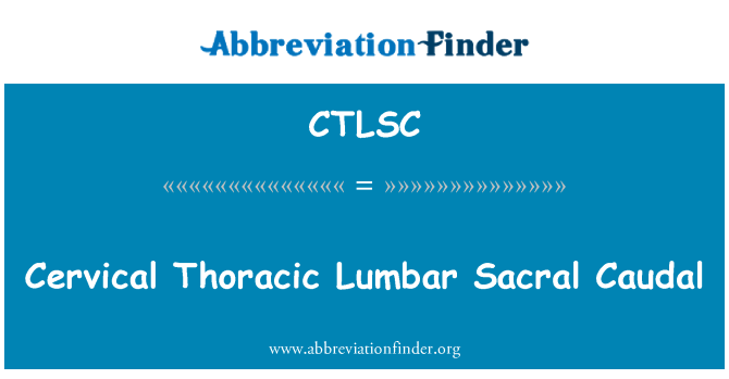 CTLSC: Cervical lombaire thoracique Sacral Caudal