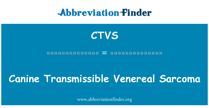 CTVS: Sarcoma venereo trasmissibile canino