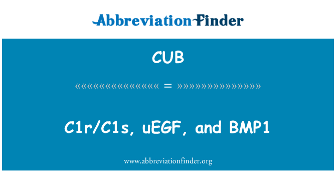 CUB: C1r/C1s, uEGF a BMP1