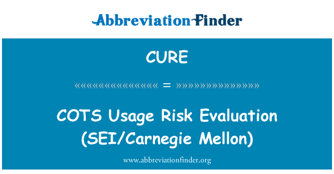 CURE: BÉBÉ l' Risk evalyasyon (SEI/Carnegie Mellon)
