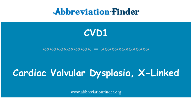 CVD1: X 연결 된 심장 판 막 병 발육 이상