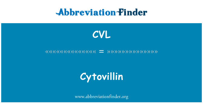 CVL: Cytovillin