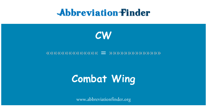 CW: Combat Wing