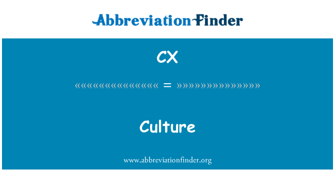 CX: 文化