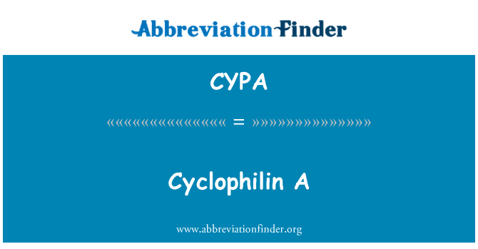 CYPA: Cyclophilin, yon