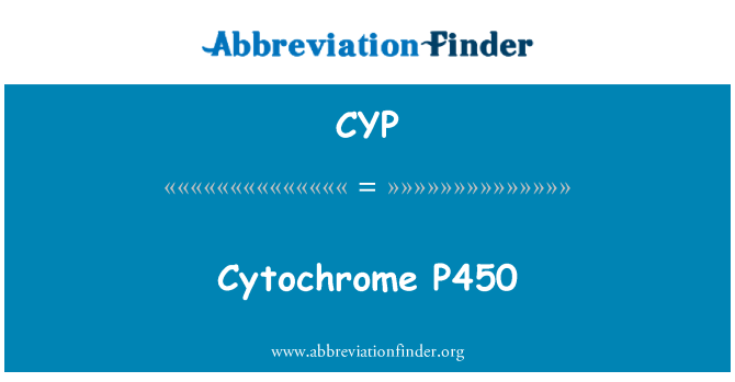 CYP: 细胞色素 p450 酶
