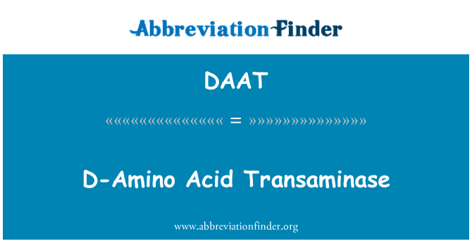 DAAT: D-Amino Acid transaminaasina