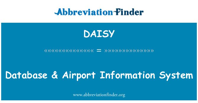 DAISY: Database & Airport Information System
