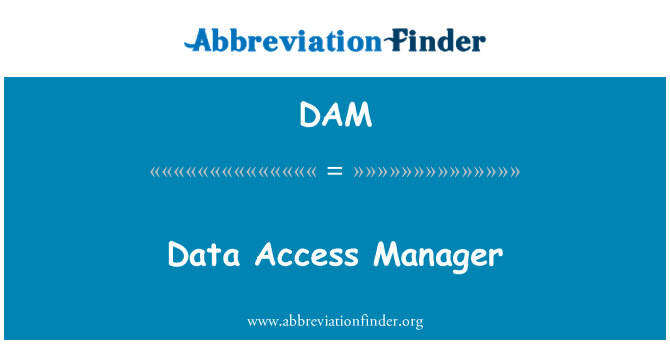 DAM: 데이터 액세스 관리자