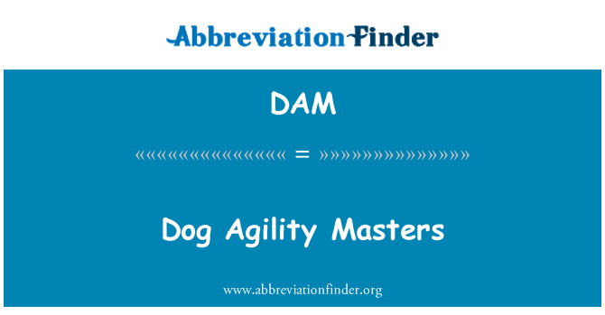 DAM: Dog agilitate Masters