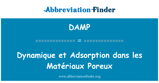 DAMP: Dynamique et adsorpsi dans les Matériaux Poreux