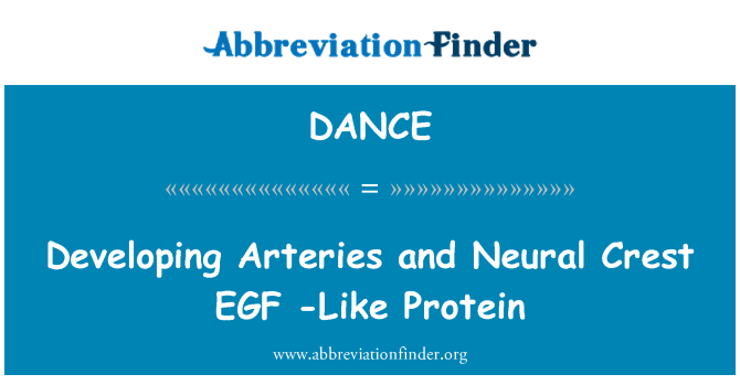 DANCE: Artériák és neurális Crest EGF-fehérje, mint