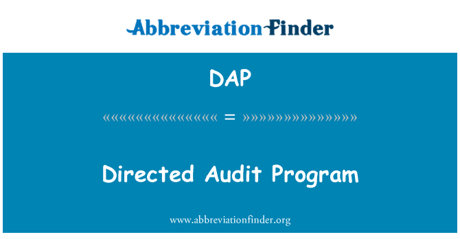 DAP: Dirigerad revision Program