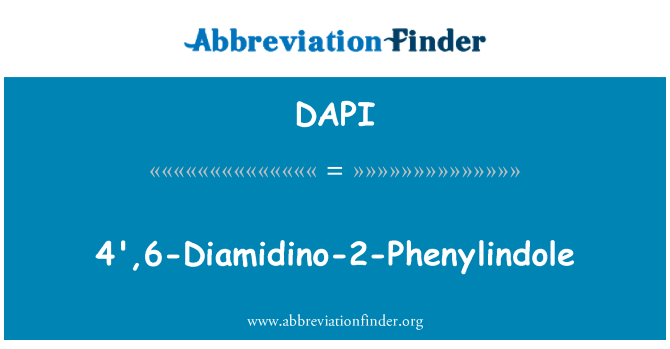 DAPI: 4', 6-Diamidino-2-Phenylindole