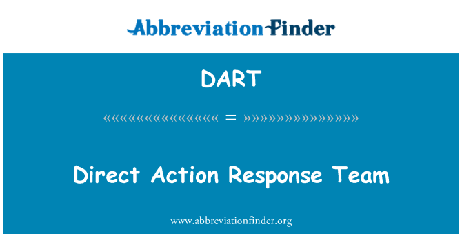 DART: 直接行动响应小组