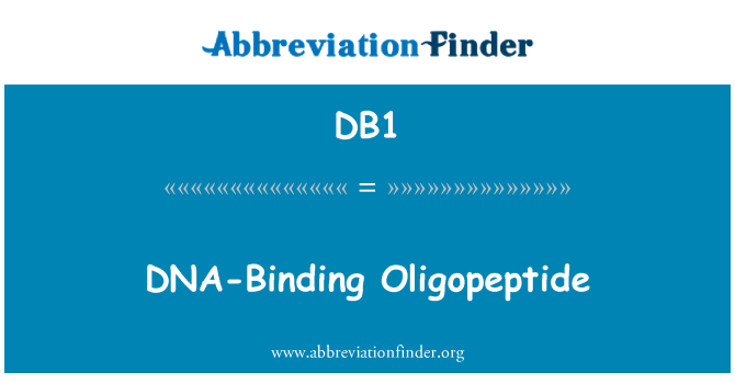 DB1: DNA siduva Oligopeptide